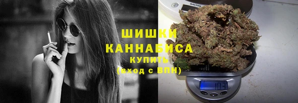 спайс Нея