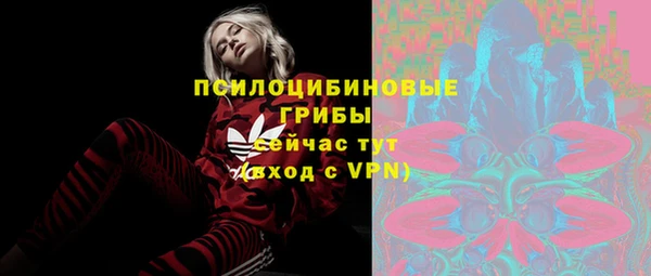 ГАЛЛЮЦИНОГЕННЫЕ ГРИБЫ Новозыбков