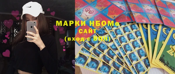 ГАЛЛЮЦИНОГЕННЫЕ ГРИБЫ Новозыбков