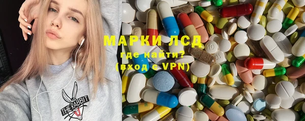 ГАЛЛЮЦИНОГЕННЫЕ ГРИБЫ Новозыбков