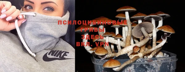 mdma Новодвинск