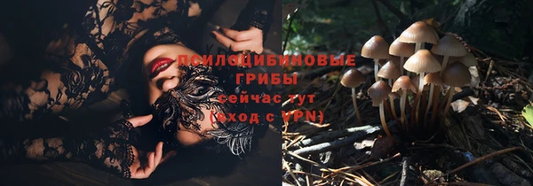 стафф Нефтекумск